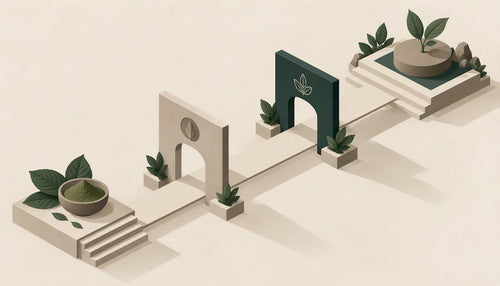 Geometric pathway representing careful safety decisions