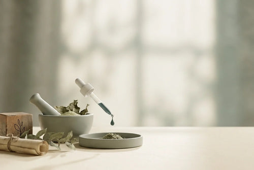 Professional header image for educational tutorial: What Is a Botanical Supplement? Where Kratom Fits in Plan...